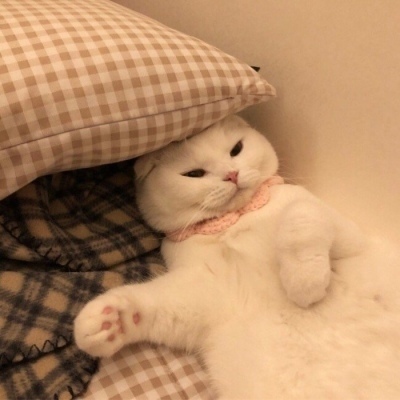 安克与飞书联合发布“安克AI录音豆” ：录音可在飞书中被AI调用，售价899元