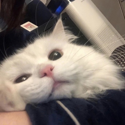 首发天玑9500s 搭9000mAh大电池